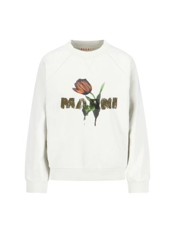 Marni Sweaters White